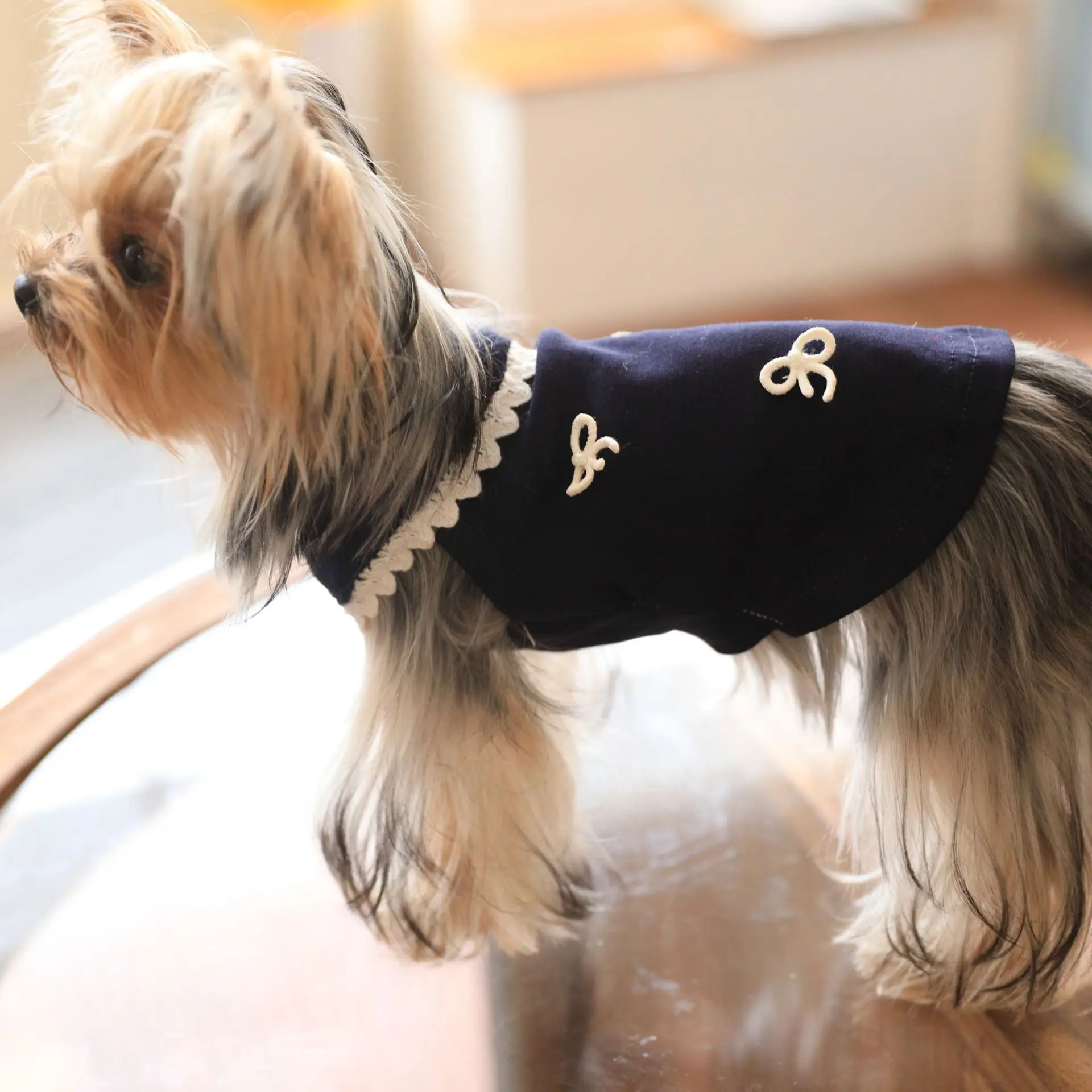 Perrito usando la camisa en paseo