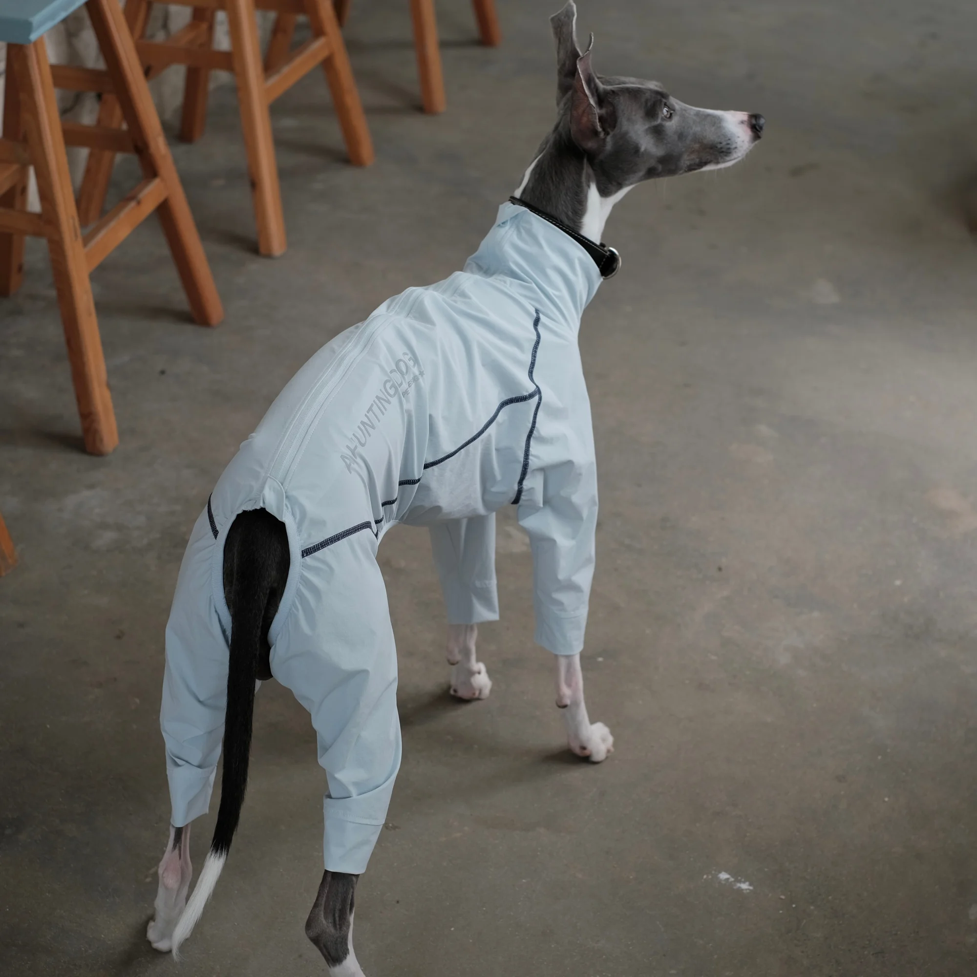 Traje de verano con protección solar UPF100+ para perro Galgo Italiano – Cubre vientre - imagen 4