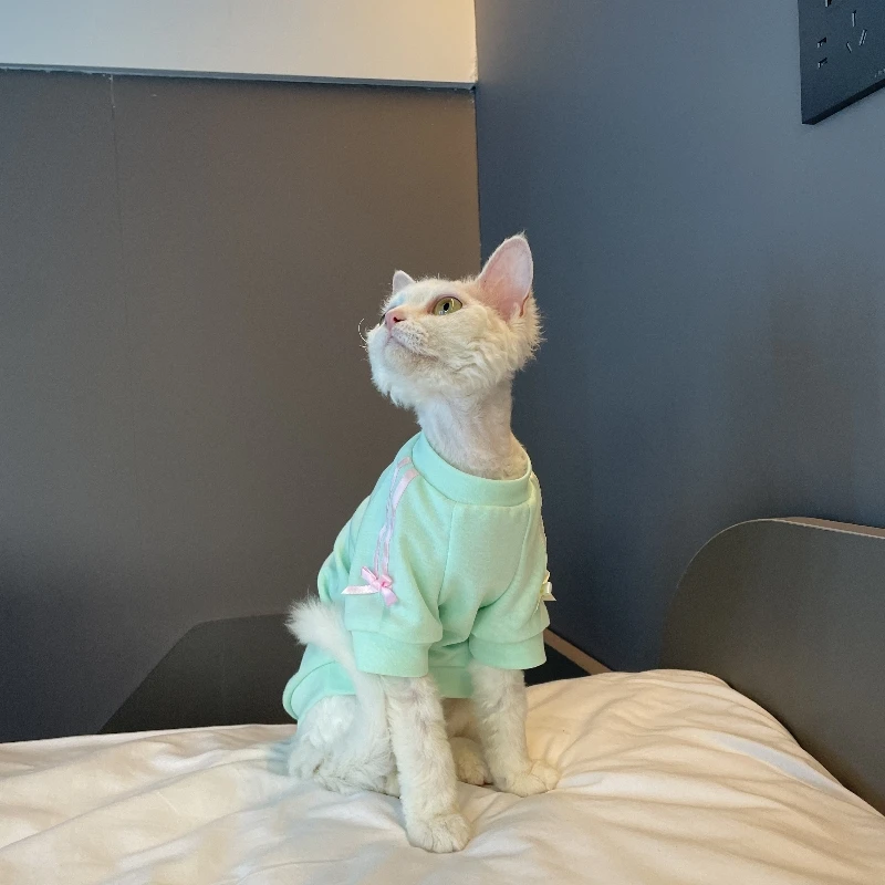 Camiseta verde claro para gato Devon Curly