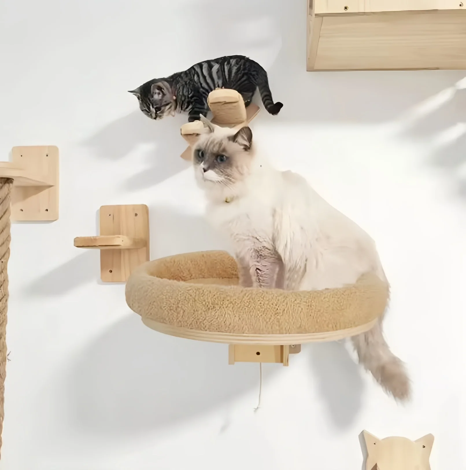 Estante de madera maciza para gatos instalado en sala moderna