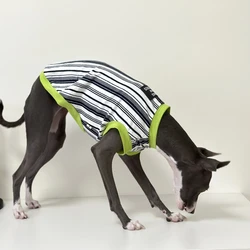 Camiseta rayas verdes de algodón para galgos italianos y whippet