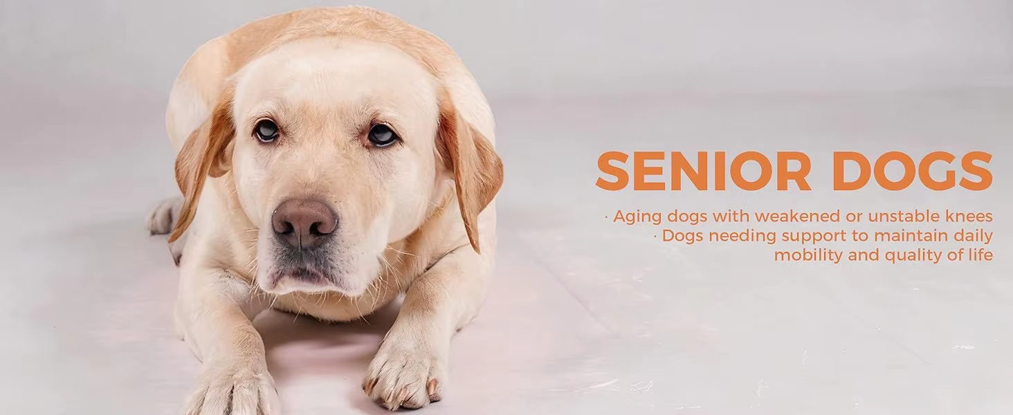 Arnés para recuperación canina