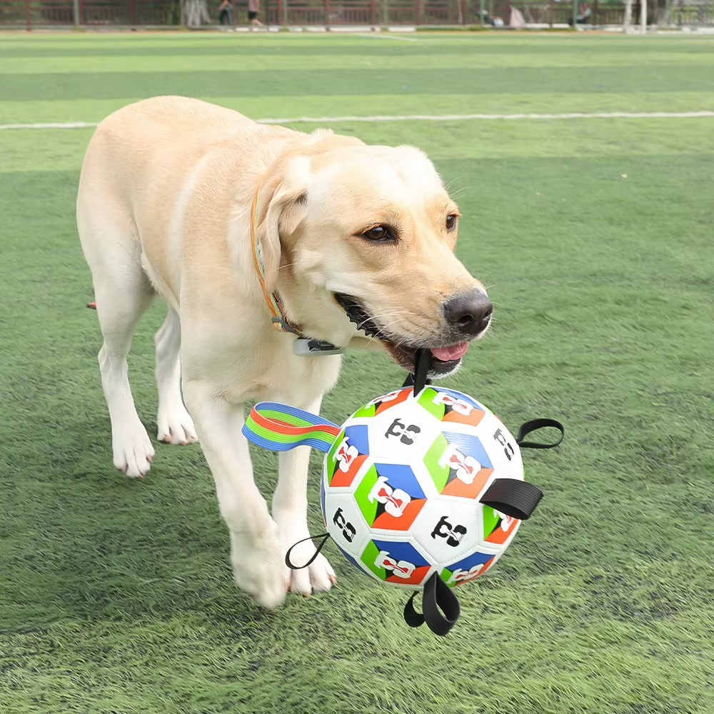 Diseño de fútbol atractivo para perros
