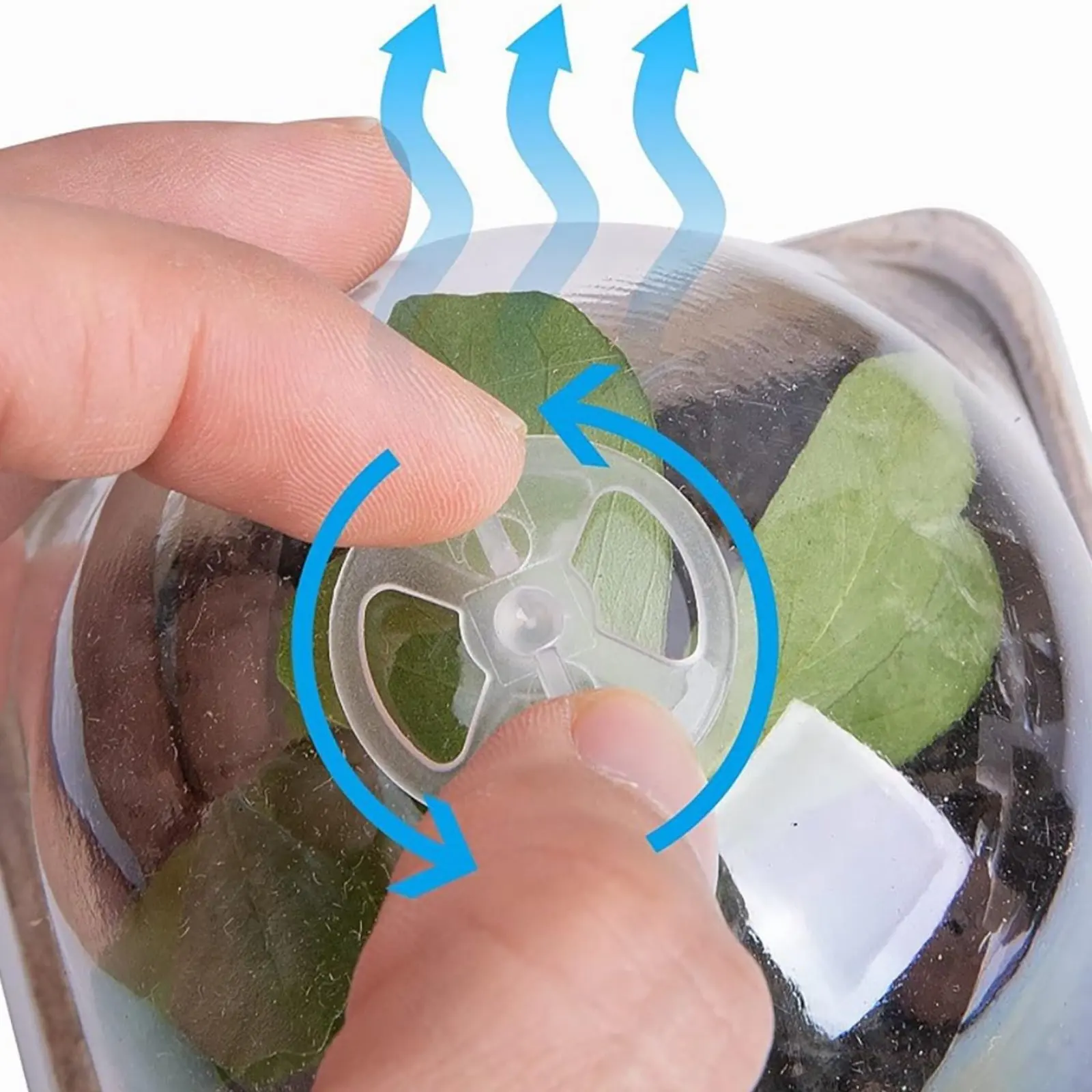Macetas biodegradables para germinación con ventilación y drenaje - imagen 2