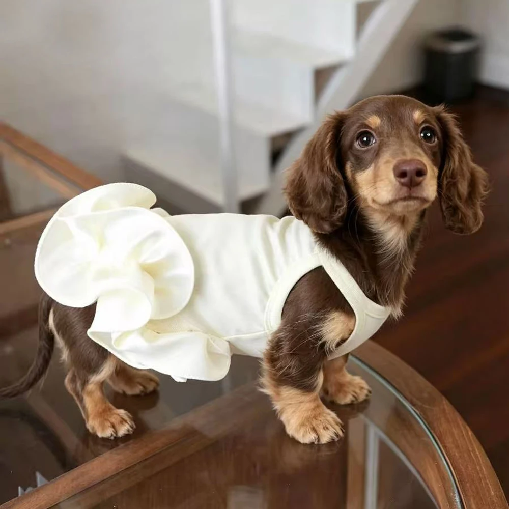 Vestido princesa con volantes para perro dachshund color amarillo