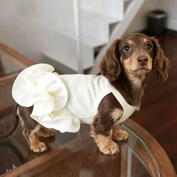 Vestido princesa con volantes para perro dachshund color amarillo