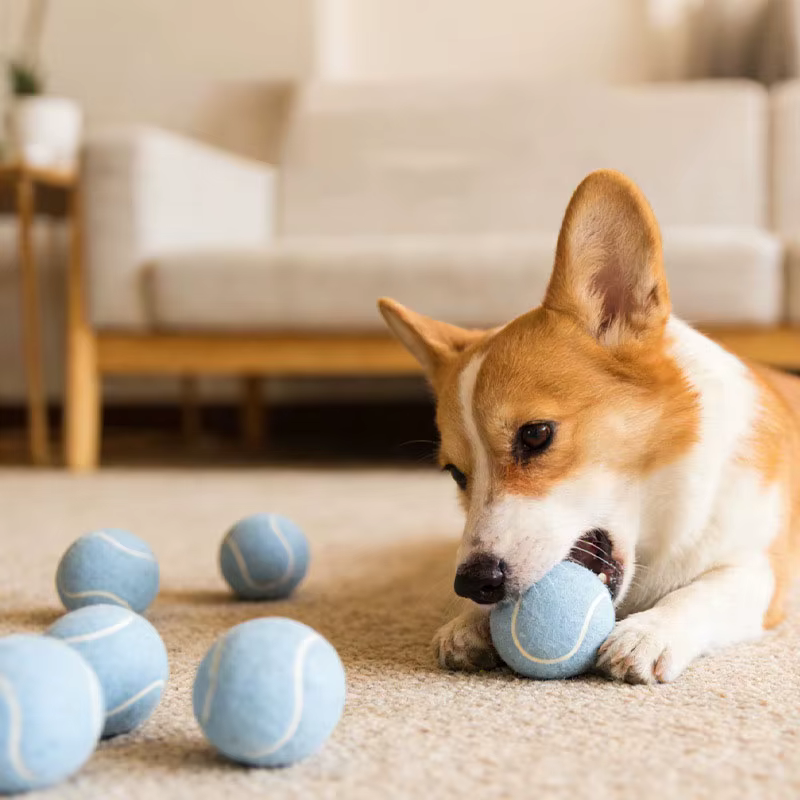 Pelota de goma y fieltro resistente para perros - imagen 4