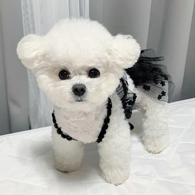 Ejemplo de uso en mascota