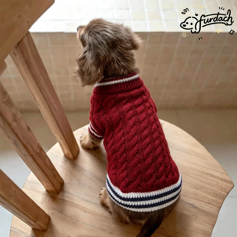 Suéter invierno tejido para perro salchicha patas cortas - imagen 4