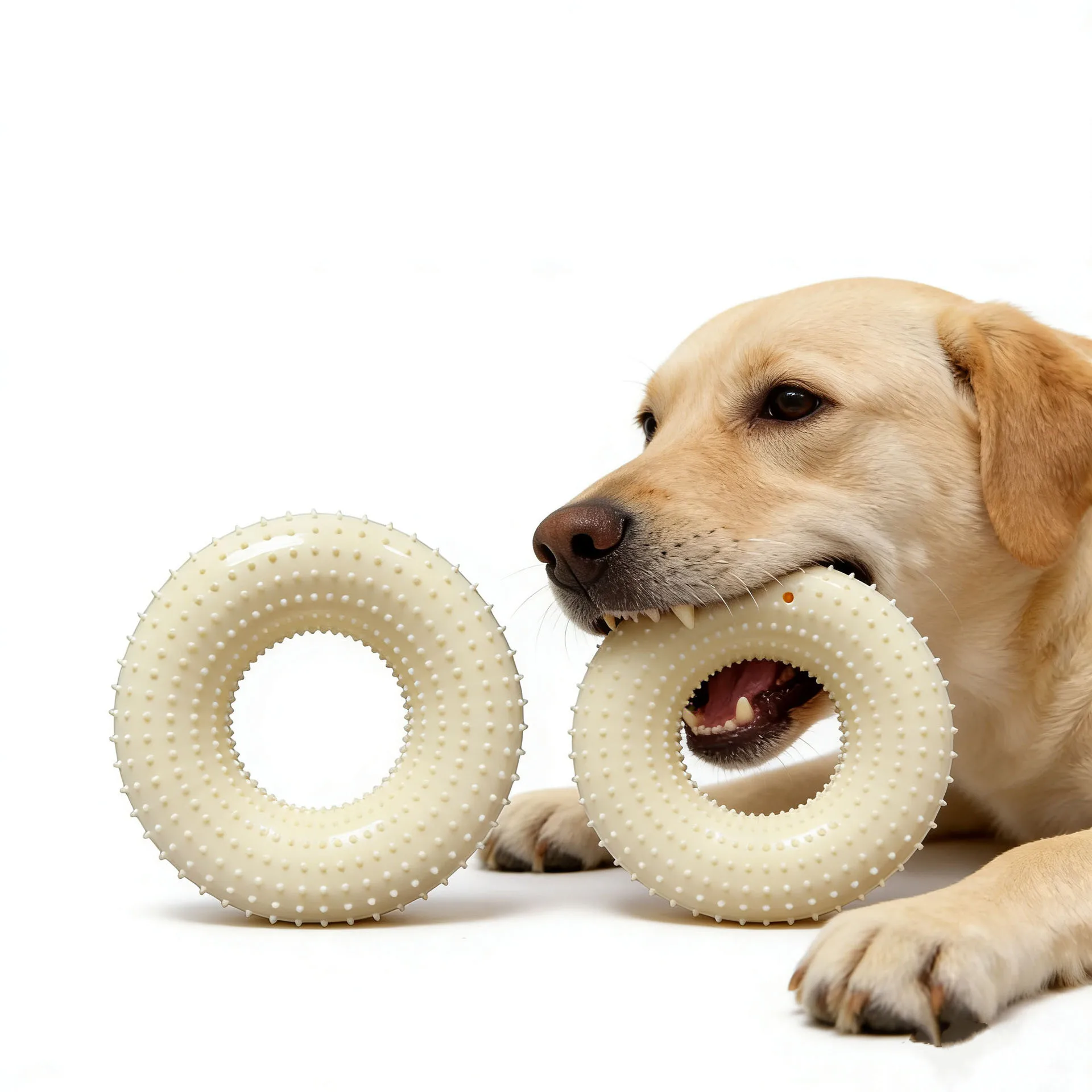 Juguete masticable donut para perros - vista frontal