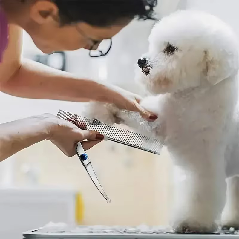 Juego de tijeras de peluquería para perro y gato - imagen 3