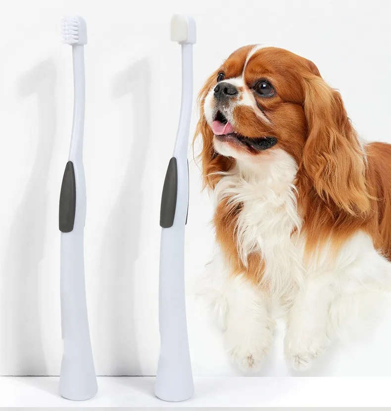 Cepillo de dientes para mascotas con cabeza pequeña