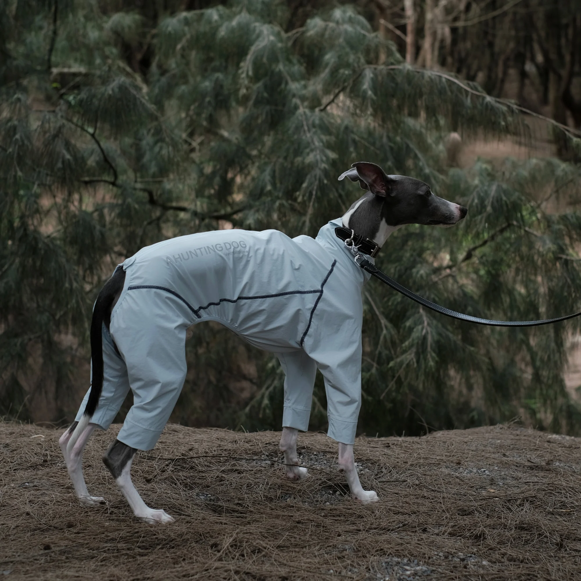 Mono ligero para perros con UPF100+ y mosquitero Galgo Whippet - imagen 5