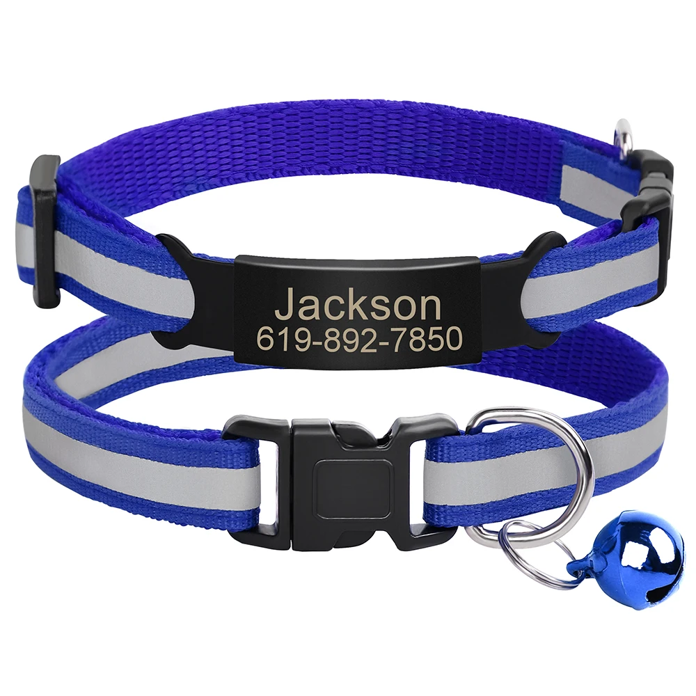Mascota con collar