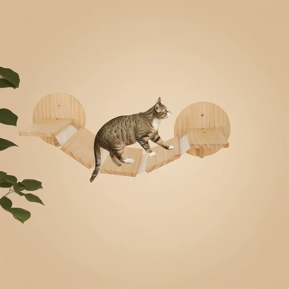 Gato descansando en plataforma elevada