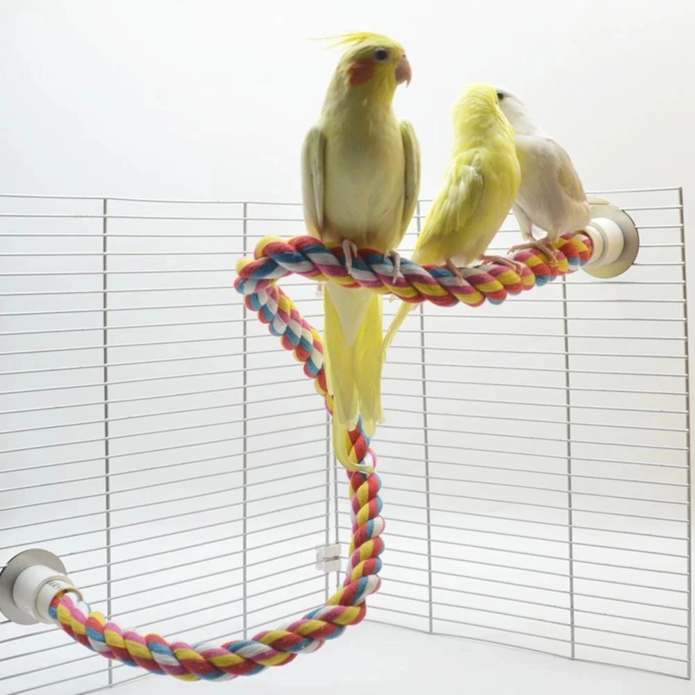 Juguete molar multicolor para pájaros