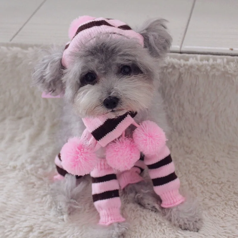 Conjunto de invierno para perro arcoíris - vista frontal