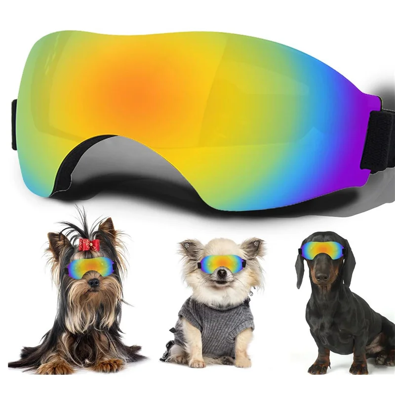 Gafas de sol para perro en paseo