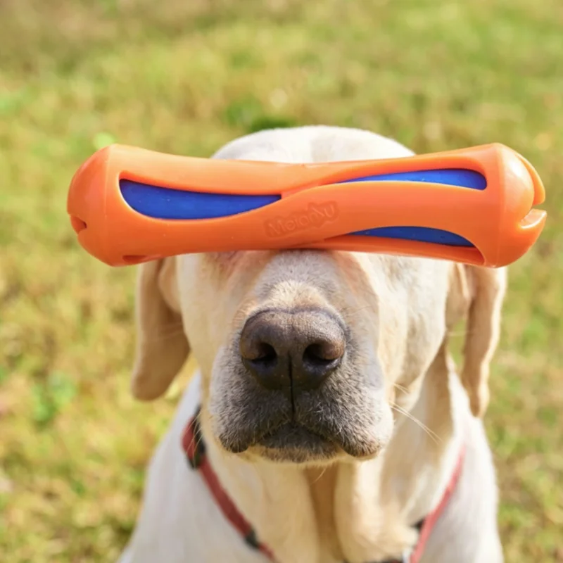 Juguete acuático para perros masticable resistente, flotador - imagen 3