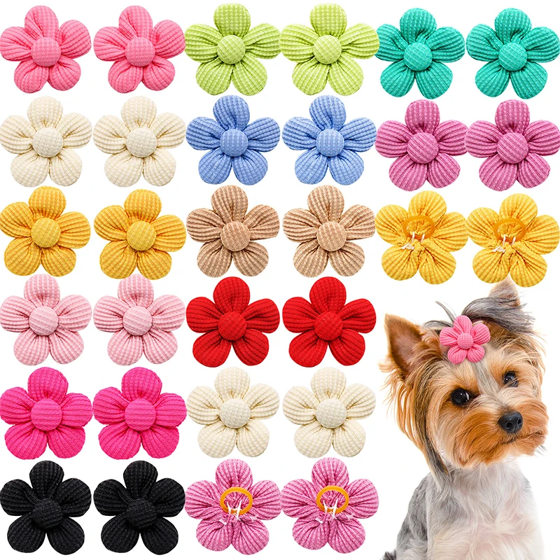 Perro usando el arco floral
