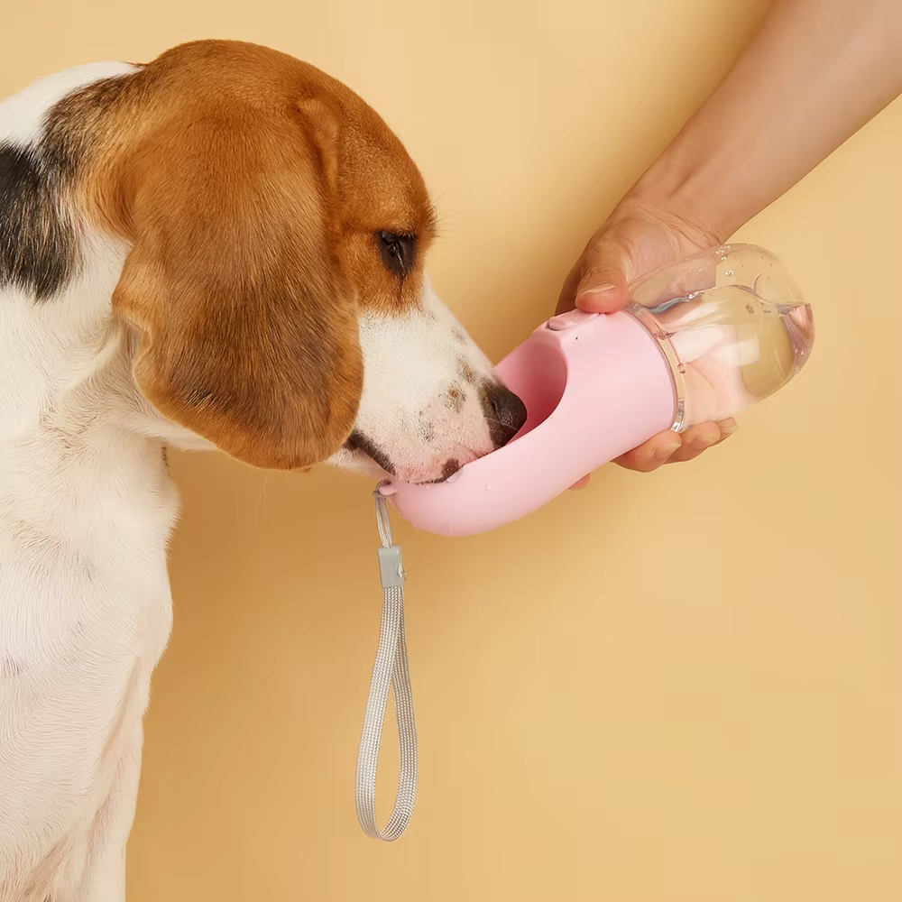Botella de agua portátil con cordón para gatos y perros