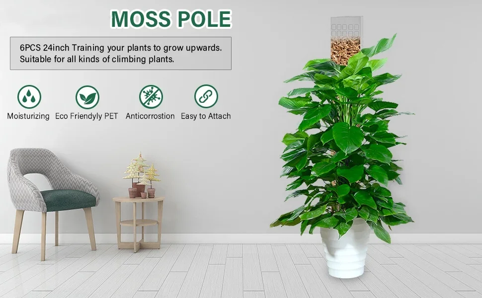 Soporte de plástico para plantas trepadoras - vista lateral