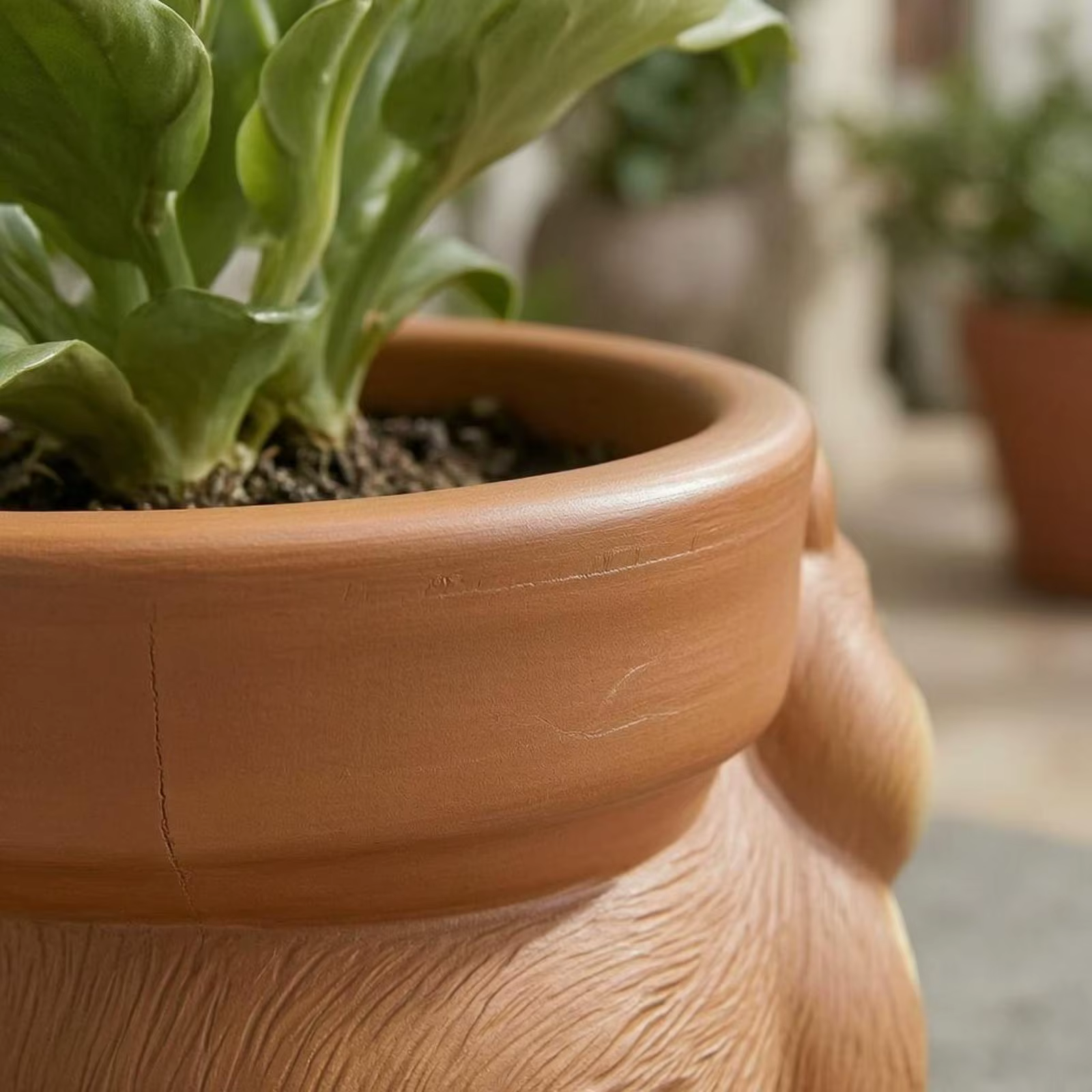 Maceta decorativa ardilla de resina para jardín e interior - imagen 5