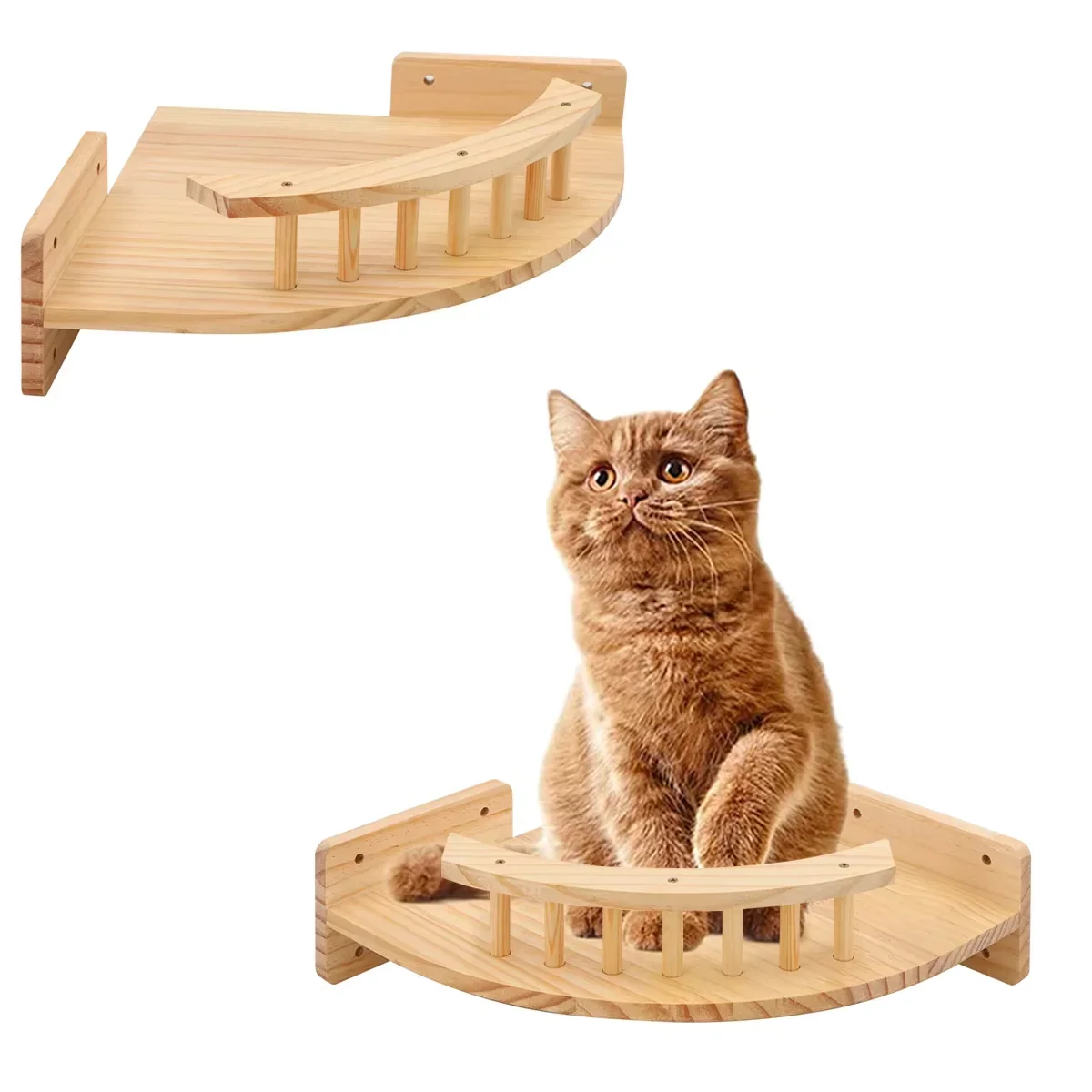 Vista del mirador esquinero de la estructura para gatos