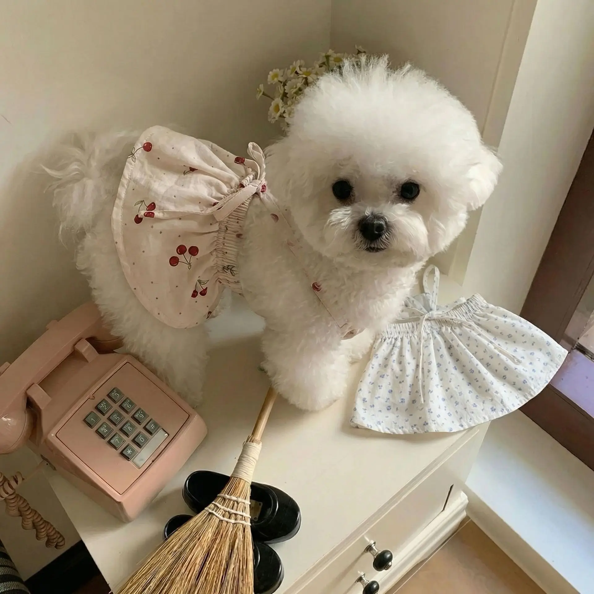 Vestido de verano para perros pequeños con falda floral y tirantes - imagen 2