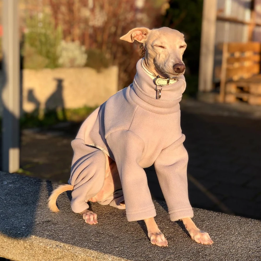 Uso en exteriores