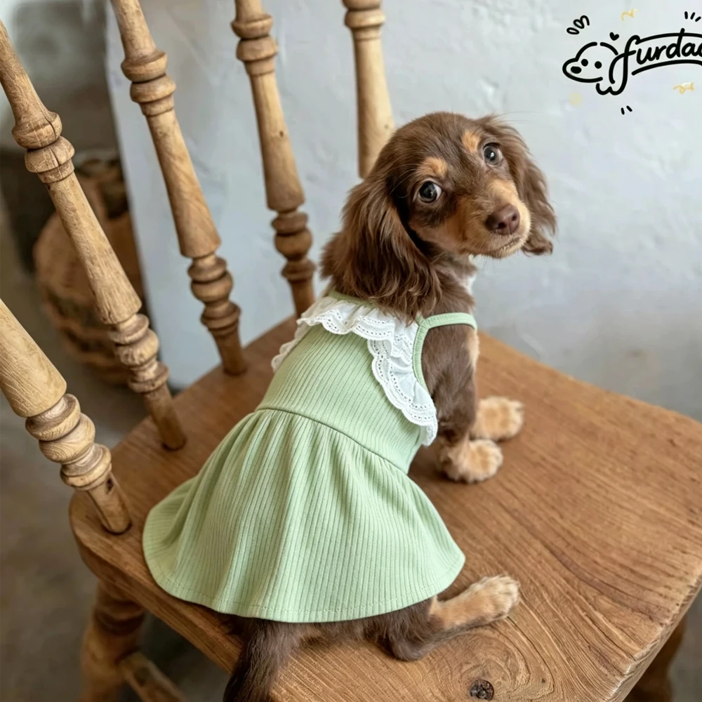 Vestido algodón verano para perro Dachshund – Falda rosa suave - imagen 4