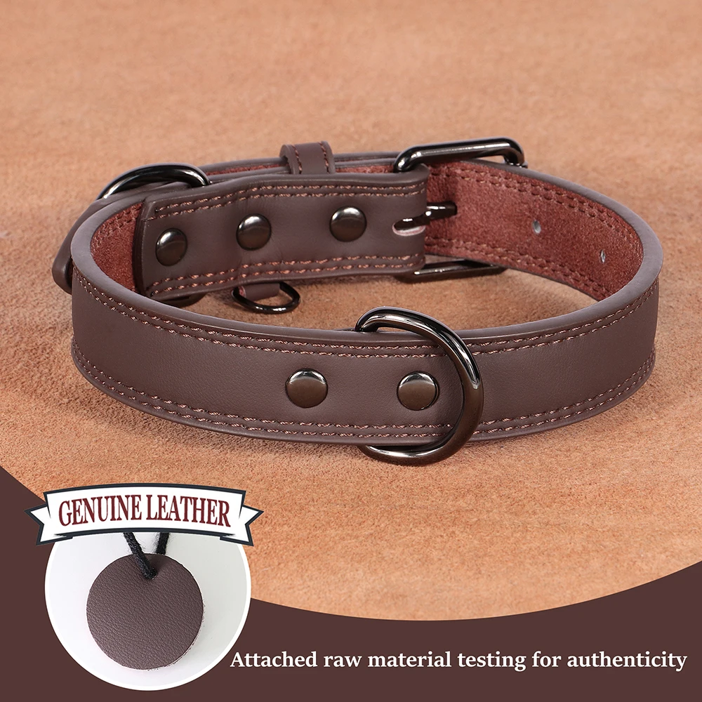 Collar Didog en uso
