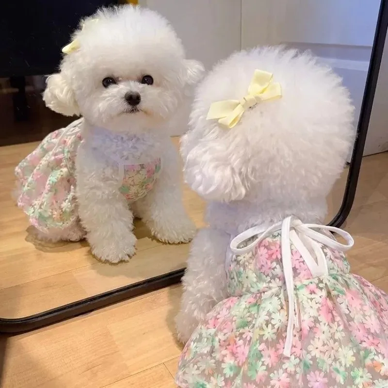 Vestido camisero verano transpirable para Pomerania y Yorkshire - imagen 3