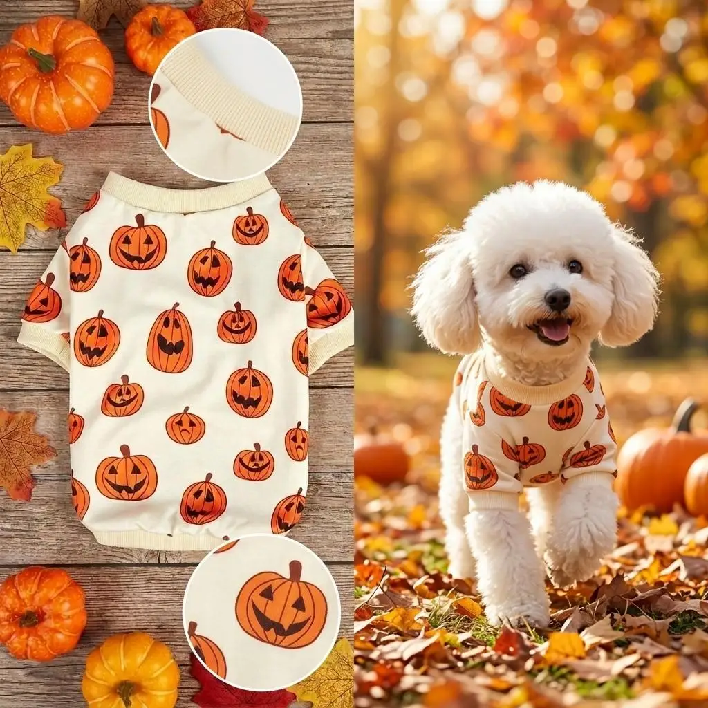 Perro pequeño disfraz calabaza Halloween