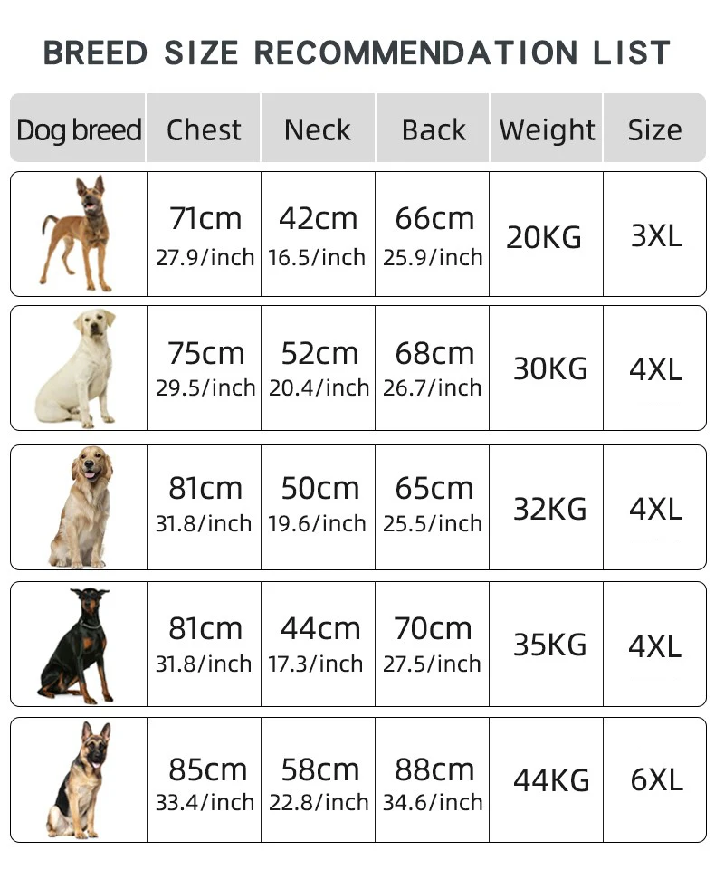 Chaqueta de invierno para perro