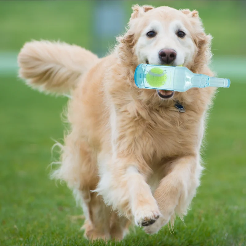 Pelota de Tenis con Sonido para Perros, Flotante y Resistente a Mordidas - imagen 3