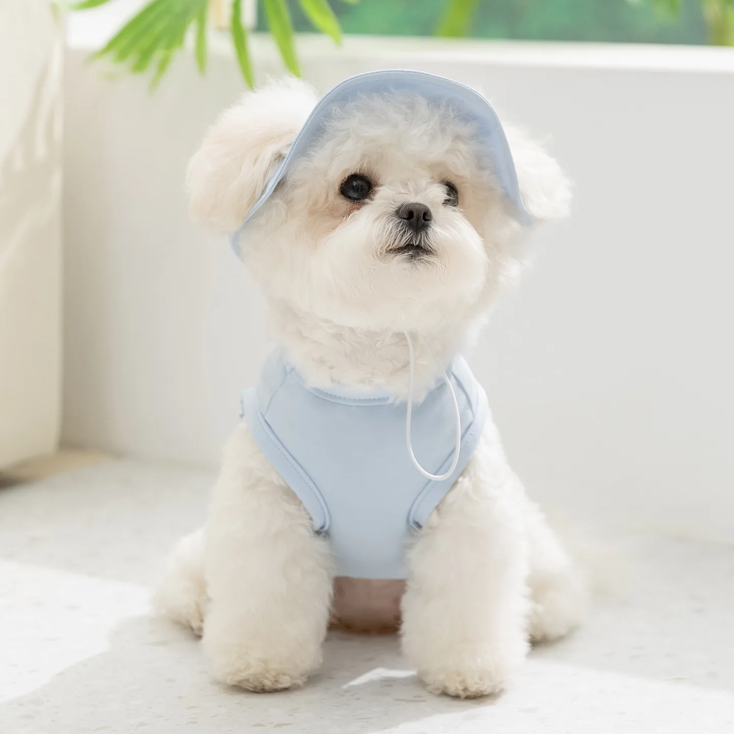 Ropa anti-UV con sombrero para perros pequeños teddy, chaleco fresco - imagen 2