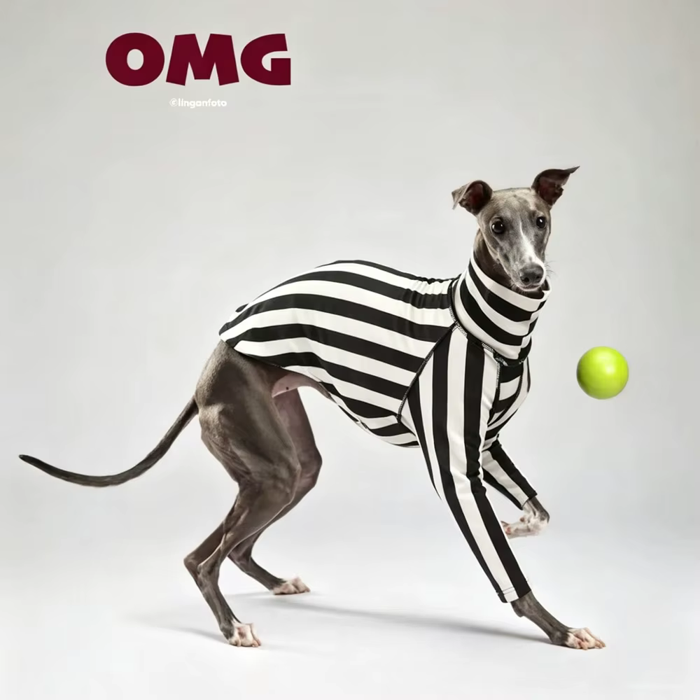 Camiseta cuello alto sin mangas de algodón a rayas negras para galgos - imagen 3