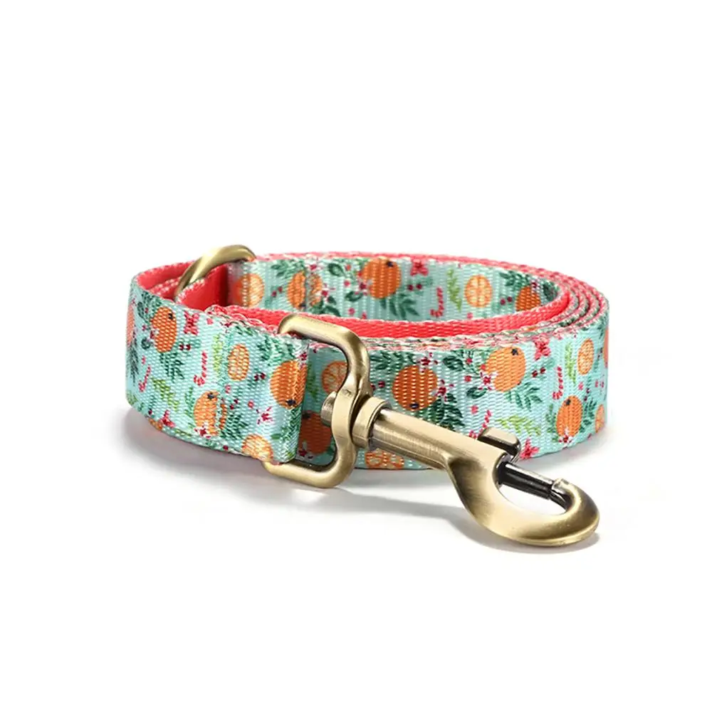 Collar personalizado visto de cerca