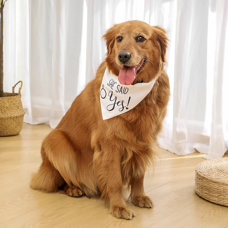 Guía de medidas del pañuelo para perro