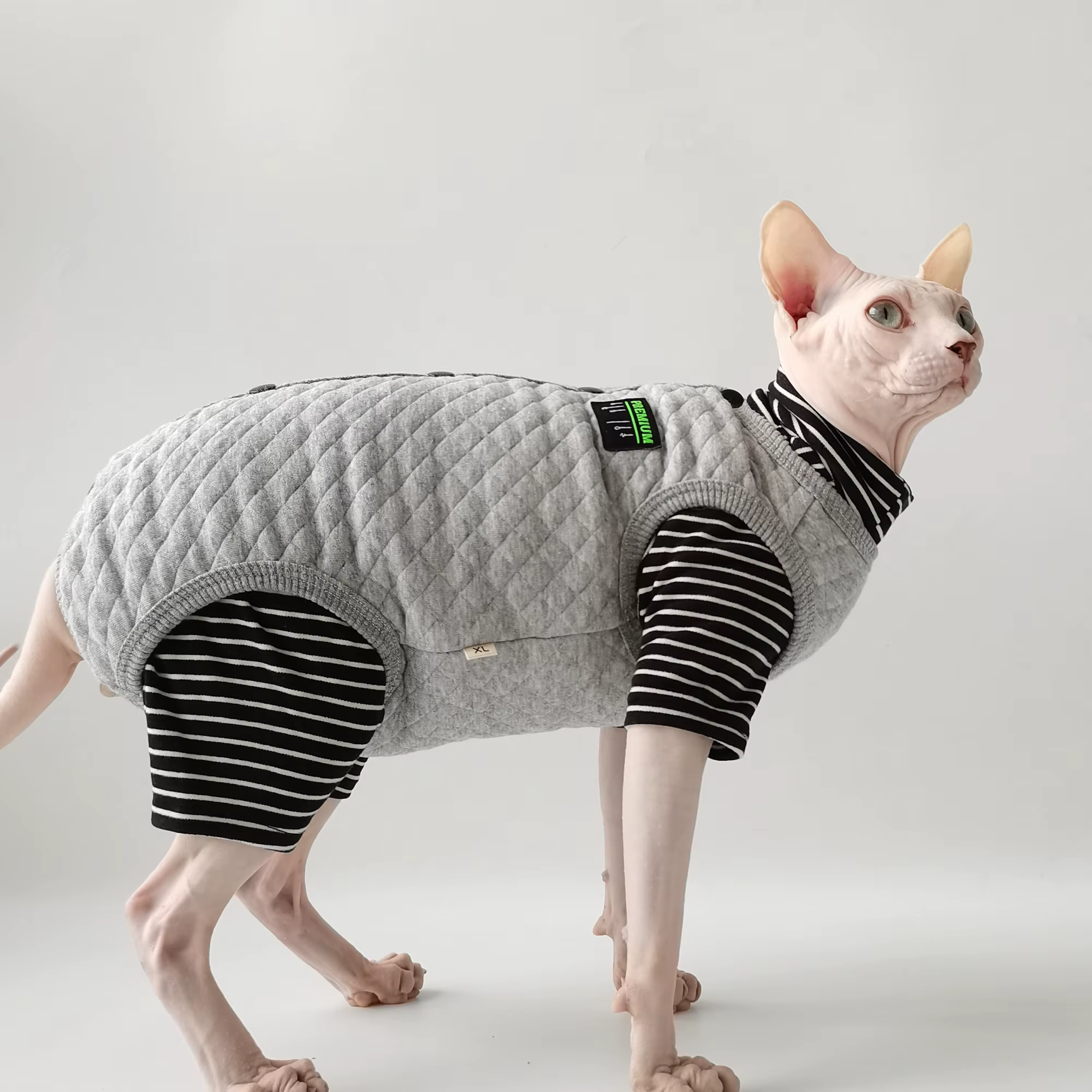 Abrigo invierno para gato Sphynx: vientre protegido, gris cálido - imagen 4