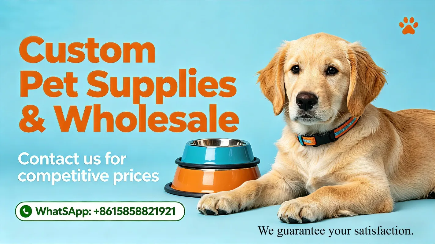 Aspecto exterior de la caja cerrada