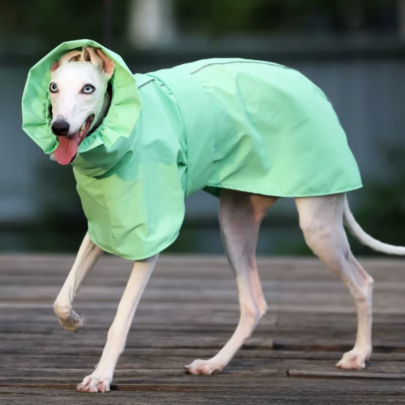 Impermeable ligero ajustable para galgo italiano y whippet