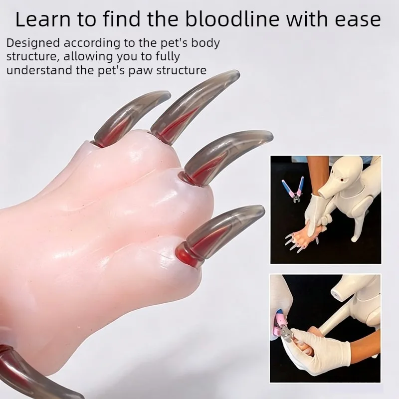 Set de práctica de uñas de silicona para perros – recorte canino - imagen 3