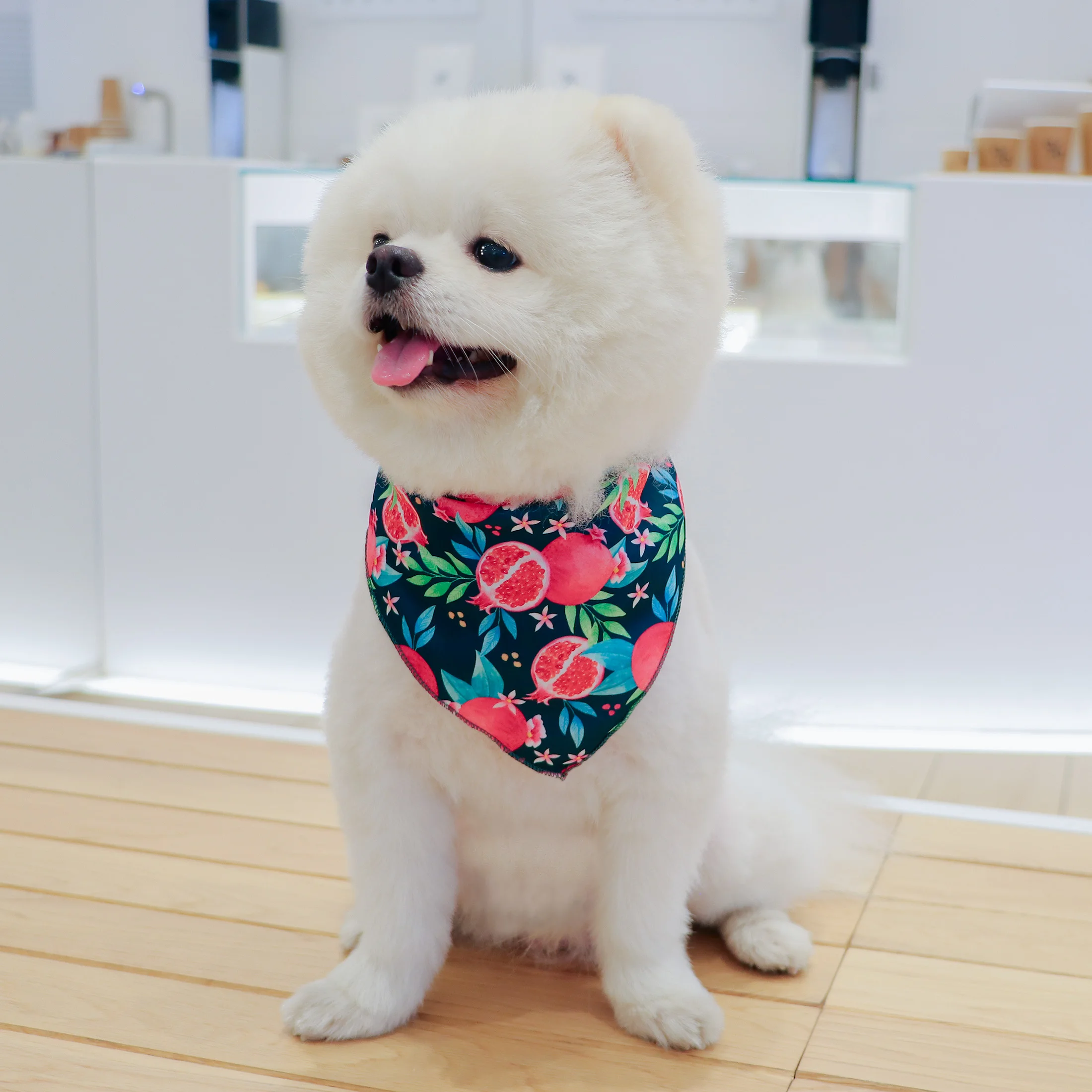 Perro usando la bandana de frutas