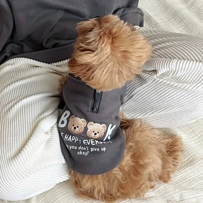 Sudadera con osos para perros y gatos – ropa de otoño - imagen 2