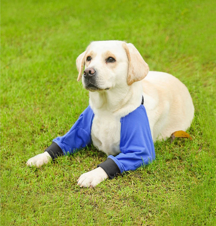 Rodilleras en uso en pata delantera de perro grande