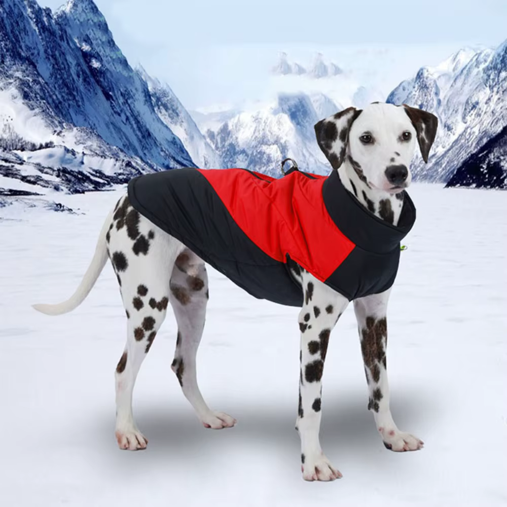 Chaqueta impermeable y cálida para perros, viento y agua: Labrador - imagen 3
