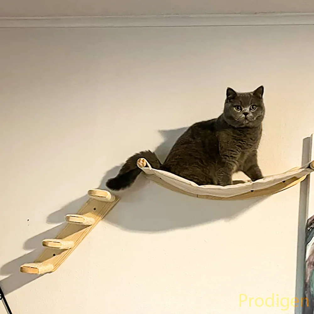 Escaleras y estantes de madera para gatos