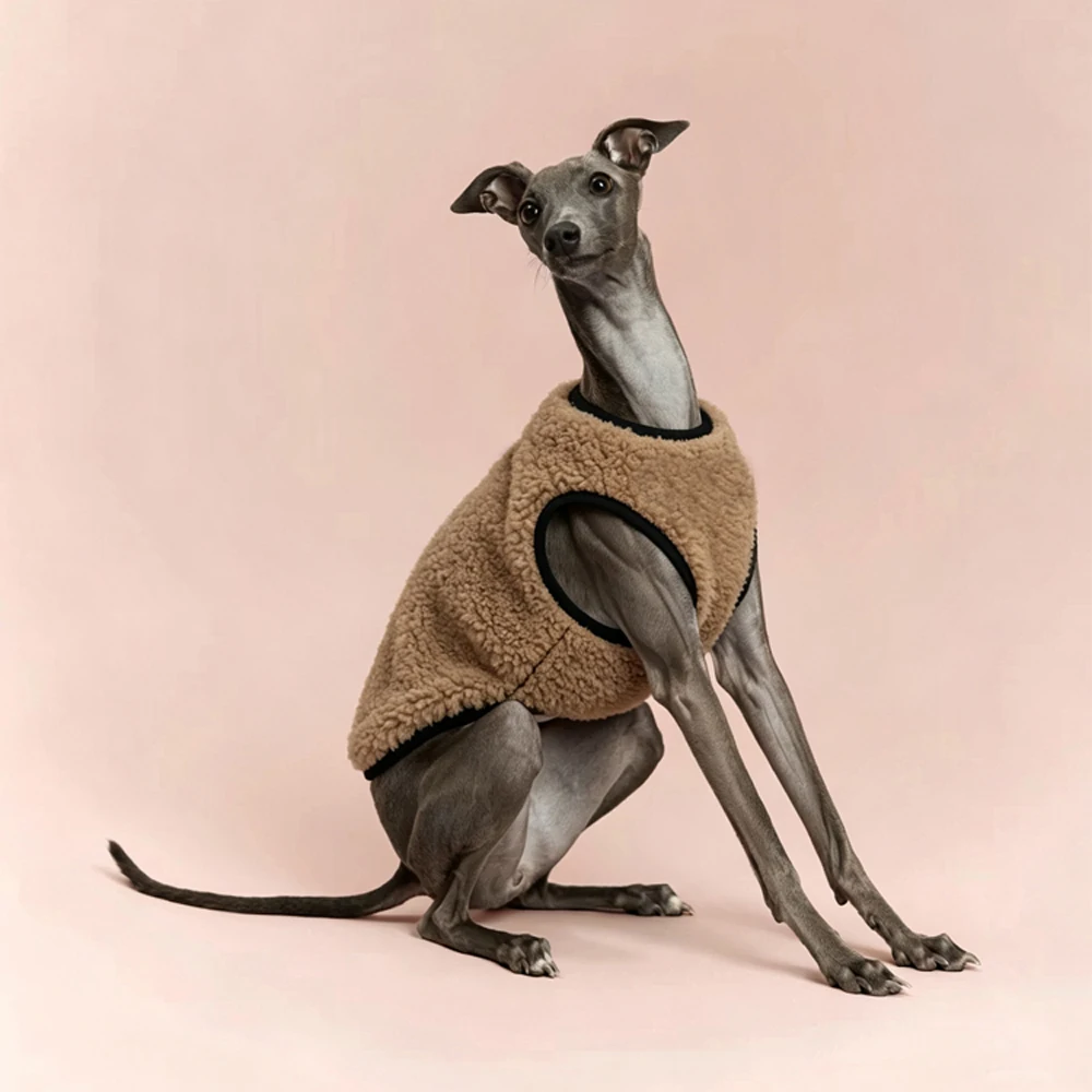 Mono abrigo polar para Galgo Italiano y Whippet – Ropa térmica perros - imagen 4
